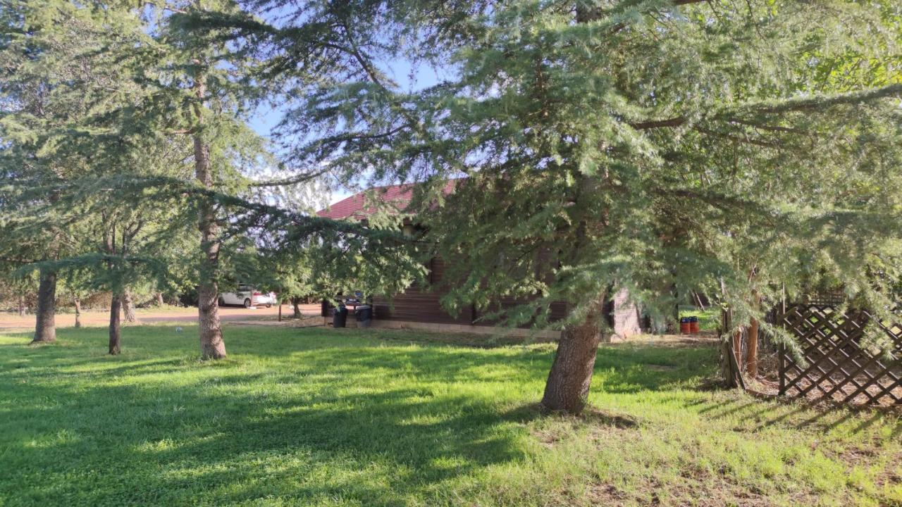 Casas Rurales Tabla Honda El Robledo  Zewnętrze zdjęcie